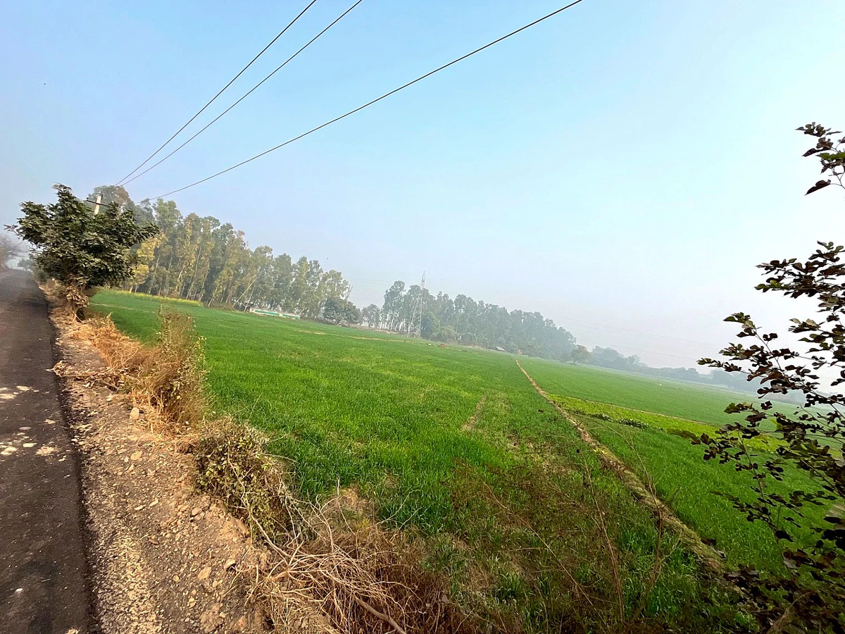 Kharkhoda, Haryana 131402, India