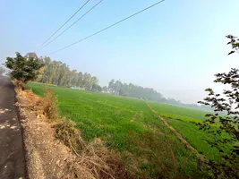 Kharkhoda, Haryana 131402, India preview 4