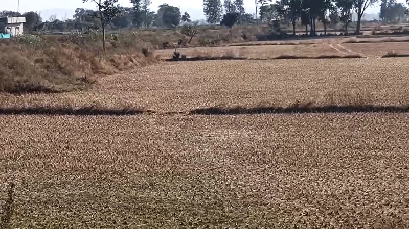 Bundu, Jharkhand 835204, India preview 3