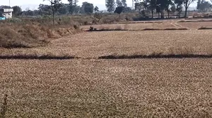 Bundu, Jharkhand 835204, India preview 3