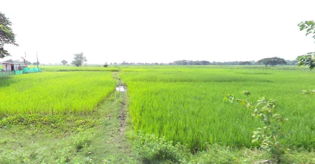 Jaora, Madhya Pradesh 457226, India