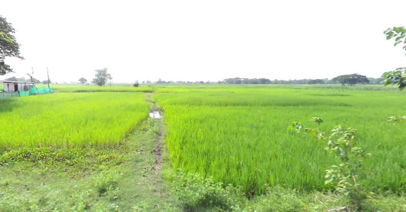 Jaora, Madhya Pradesh 457226, India preview 3