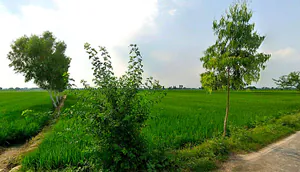 Basin, Chhattisgarh 491993, India preview 3