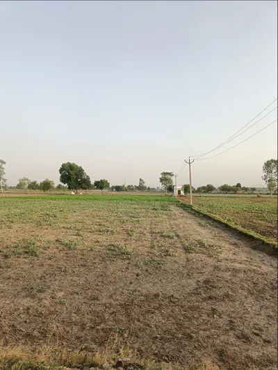 Kot, Haryana, India preview 2