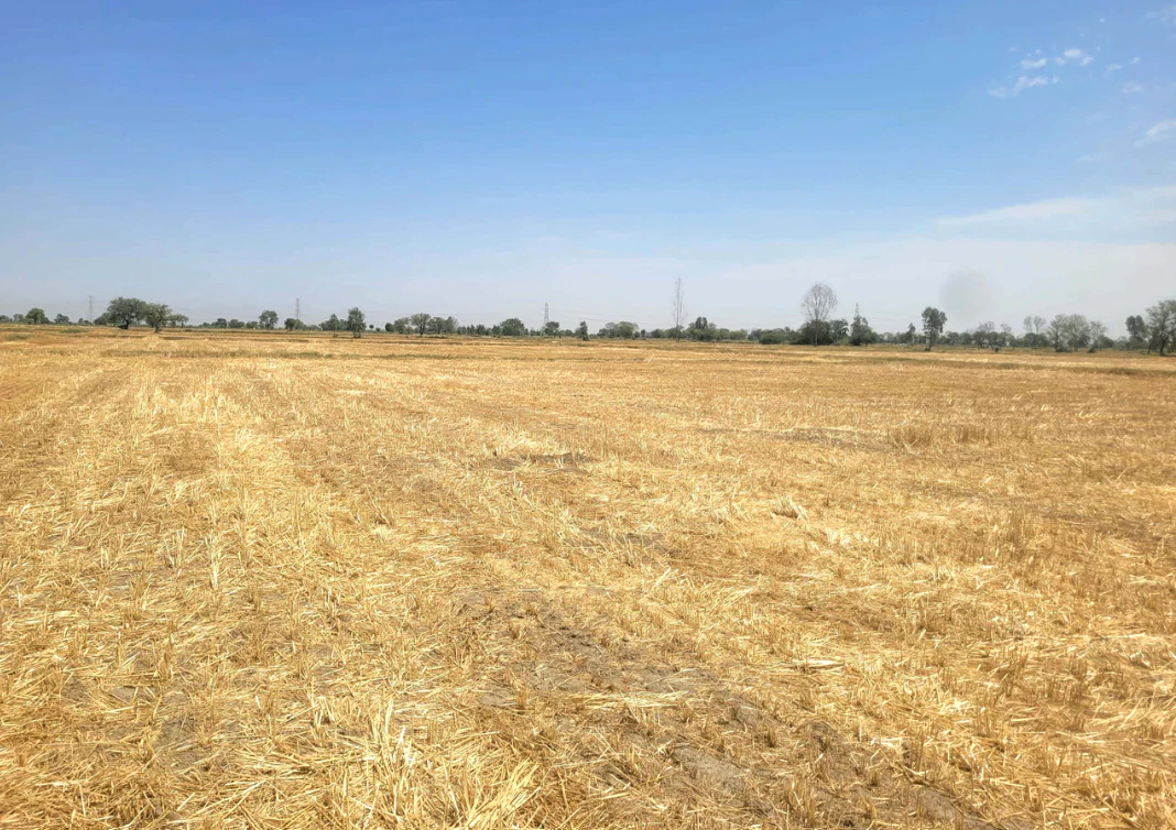 Mandhana, Haryana 127032, India
