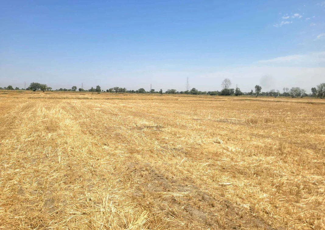 Mandhana, Haryana 127032, India