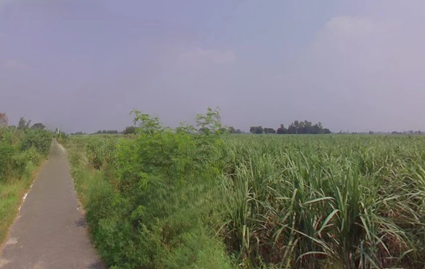 Khirwa Rd, Nangla Tashi, Meerut, Uttar Pradesh, India