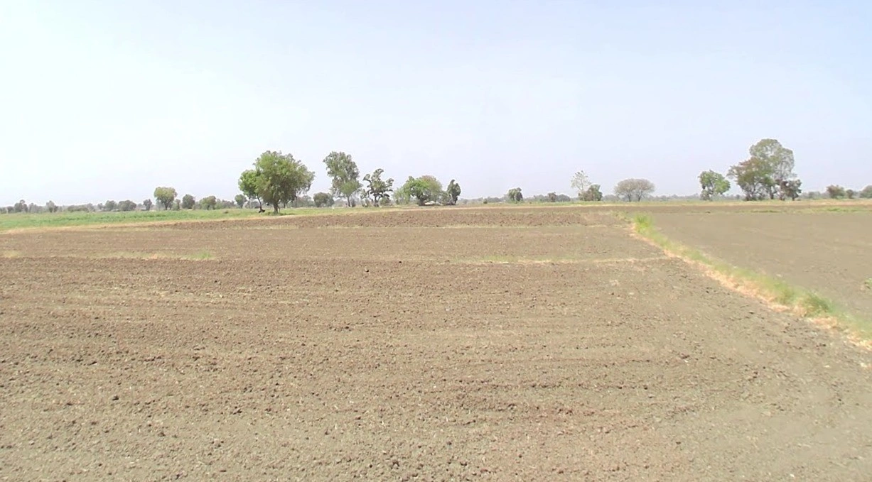 Tanodiya, Madhya Pradesh, India