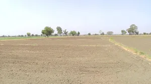 Tanodiya, Madhya Pradesh, India preview 2