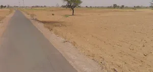 Barodameo, Rajasthan 301021, India preview 3