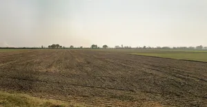 Duttapukur - Nilganj Rd, Kashim Pur, Duttapukur, Gangapur, Shibalaya, West Bengal 743248, India preview 2