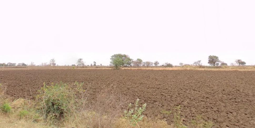 RRGF+FPQ, Naya gola, Silvaya Khajuri, Madhya Pradesh 464221, India preview 2