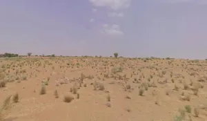 Bhanipura, Rajasthan 334024, India preview 3