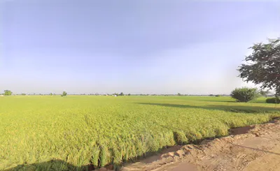 Rania, Haryana 125076, India preview 3