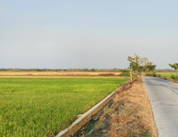 Umri, Madhya Pradesh, India