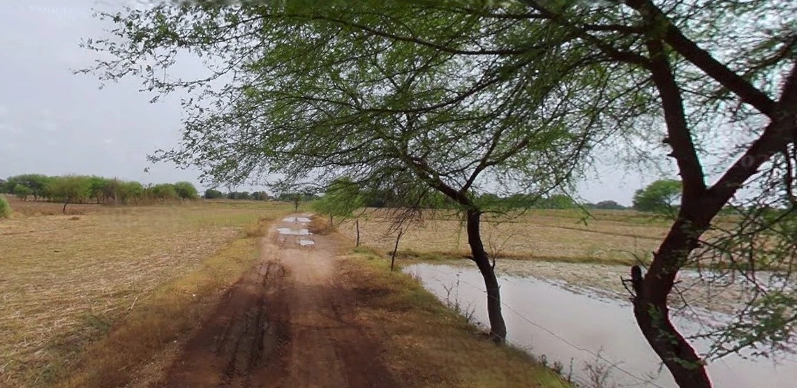 Jhajjar, Haryana 124103, India
