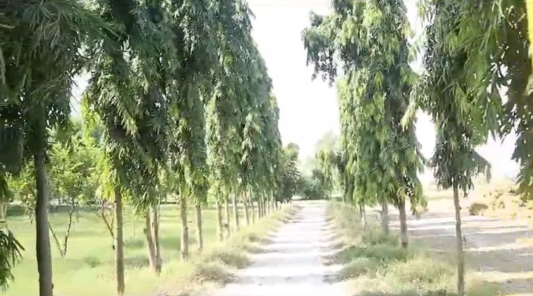 Gangapur, Uttar Pradesh 243638, India preview 2