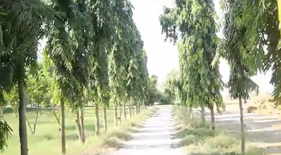 Gangapur, Uttar Pradesh 243638, India preview 2