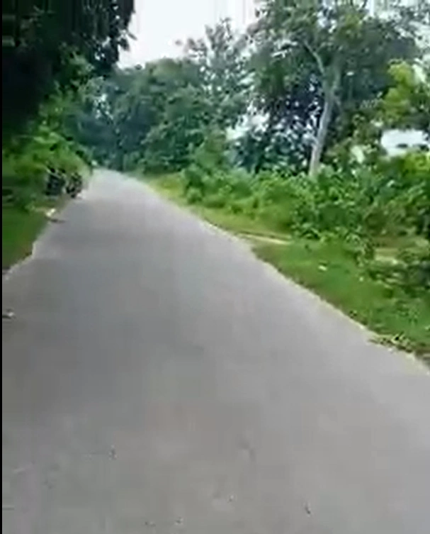 Najibabad, Bijnor, Uttar Pradesh 246763, India preview 2