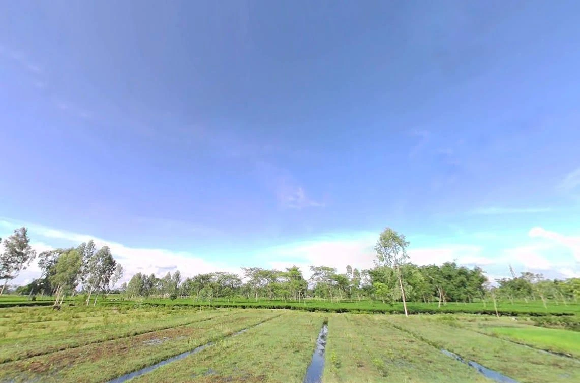 Siliguri, West Bengal, India