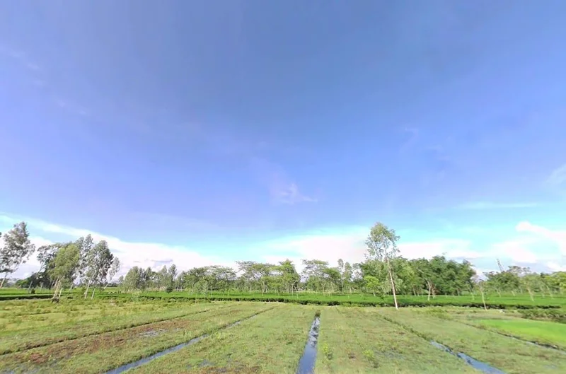 Siliguri, West Bengal, India preview 3