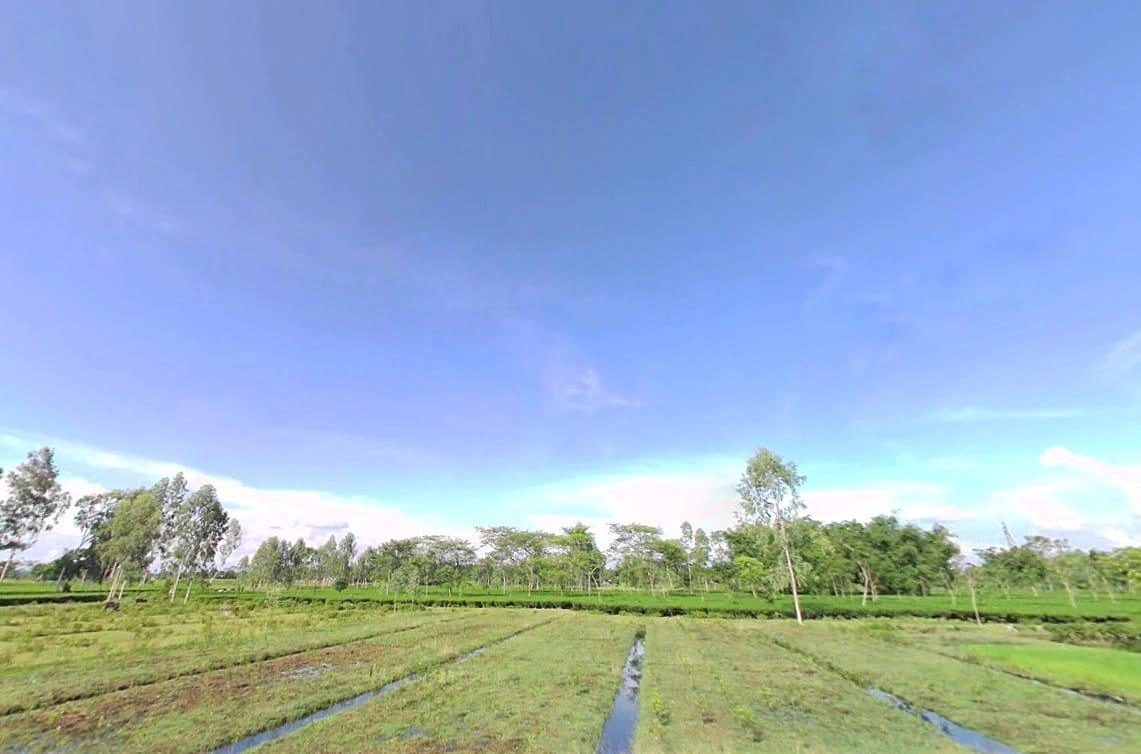 Siliguri, West Bengal, India