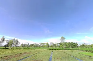 Siliguri, West Bengal, India preview 3