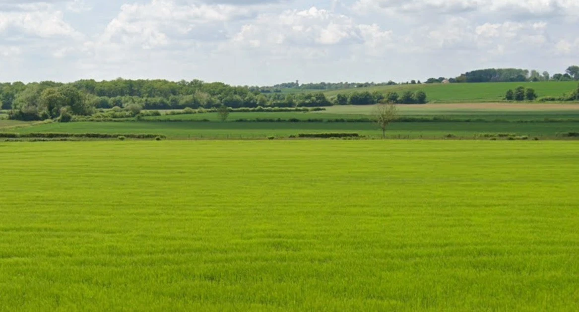 Amrawad, Madhya Pradesh, India