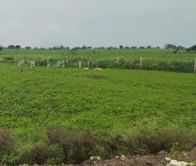 Budak, Haryana 125004, India