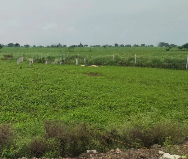 Budak, Haryana 125004, India