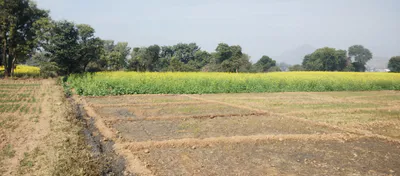 Tarapur, Punjab, India preview 2