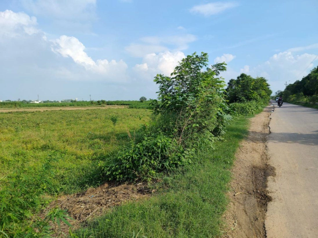 MF7P+XX2, Mathura, Sankhi, Uttar Pradesh 281401, India