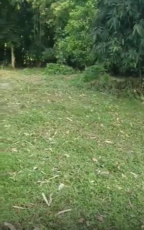 JC5W+8P7, Golaghat, No.2 Kohora, Assam 785609, India