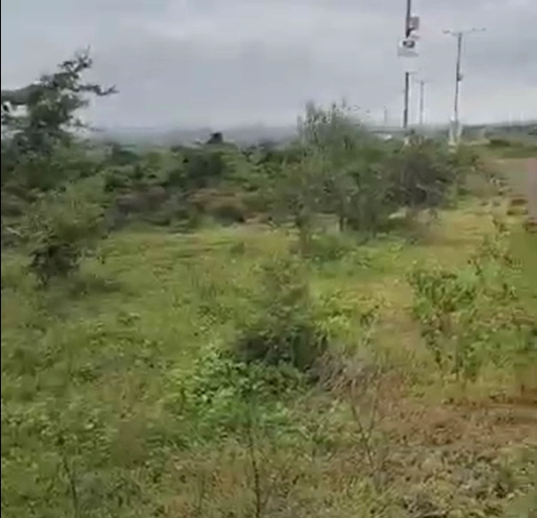 Raipur, Dehradun, Uttarakhand, India