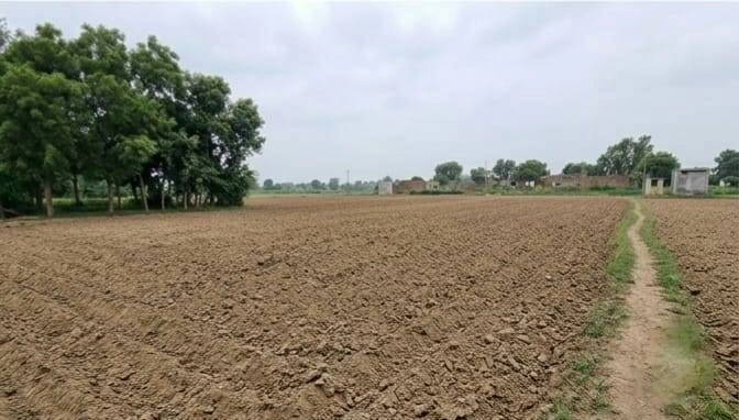 Barhana, Uttar Pradesh, India