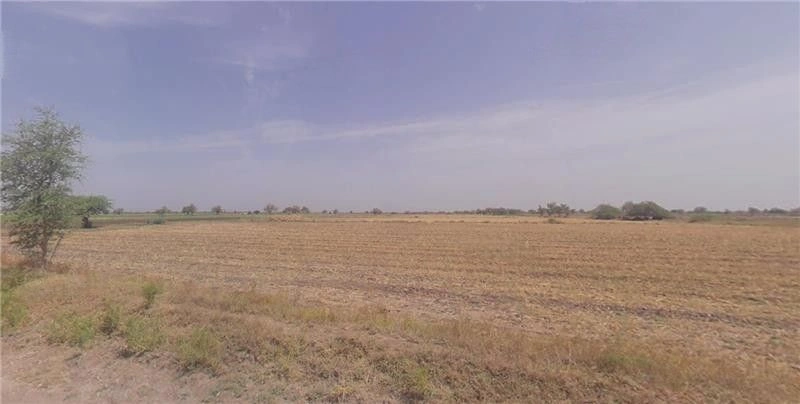 Ketkavale, Maharashtra 412205, India preview 2