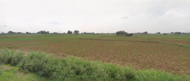 Sri Ganganagar, Rajasthan, India preview 2