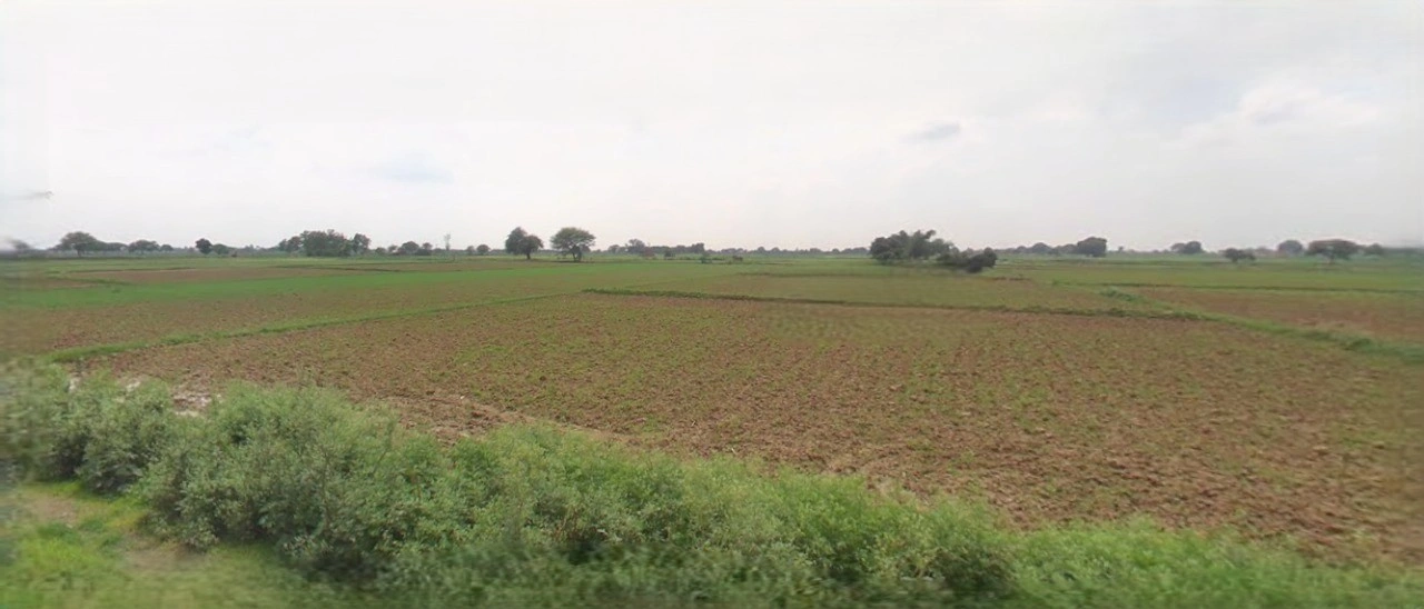 Sri Ganganagar, Rajasthan, India