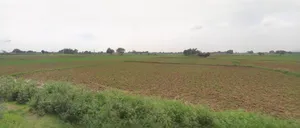 Sri Ganganagar, Rajasthan, India preview 2