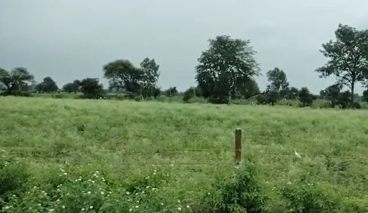CVQQ+WPQ, Ujjain, Ghosla, Madhya Pradesh 456550, India
