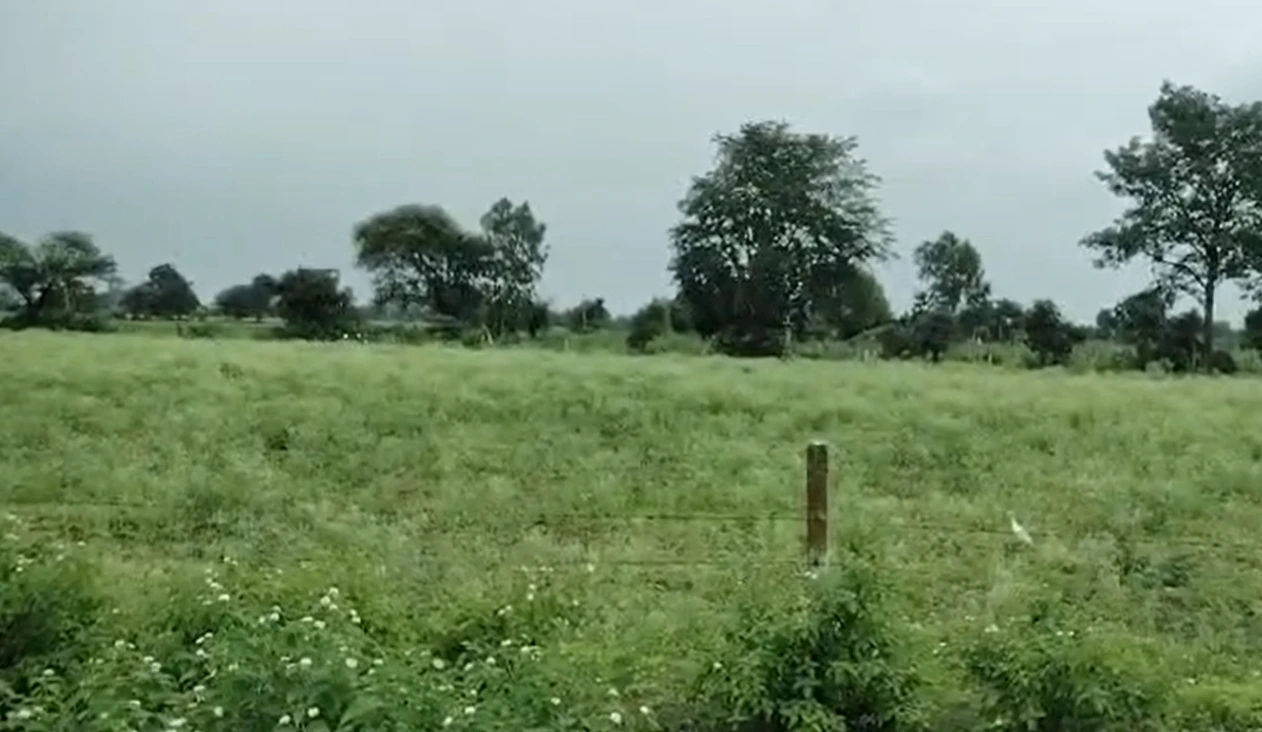 CVQQ+WPQ, Ujjain, Ghosla, Madhya Pradesh 456550, India