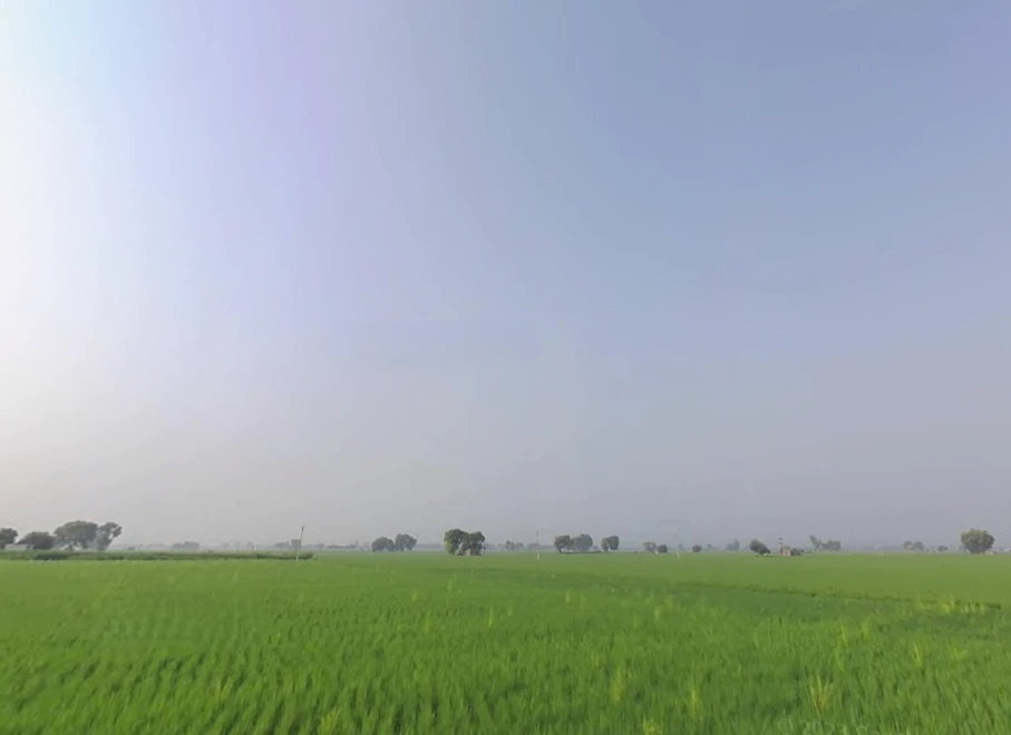 Rama, Punjab 142039, India