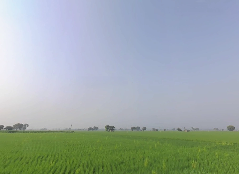 Rama, Punjab 142039, India