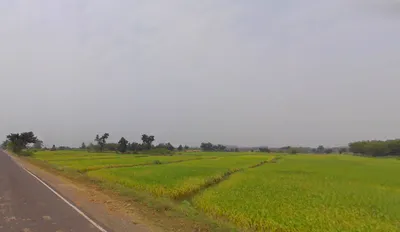 Illambazar, West Bengal 731214, India preview 2
