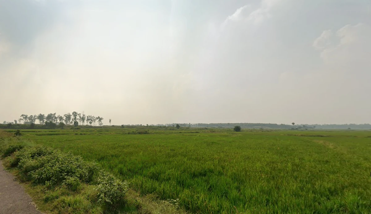 Salbedia, West Bengal 722203, India