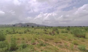 Achrol, Rajasthan 303002, India preview 3