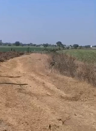 Kushalpura, Rajgarh, Madhya Pradesh 465679, India - Photo 2