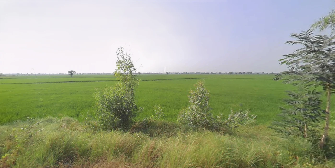 Beri, Haryana 124201, India
