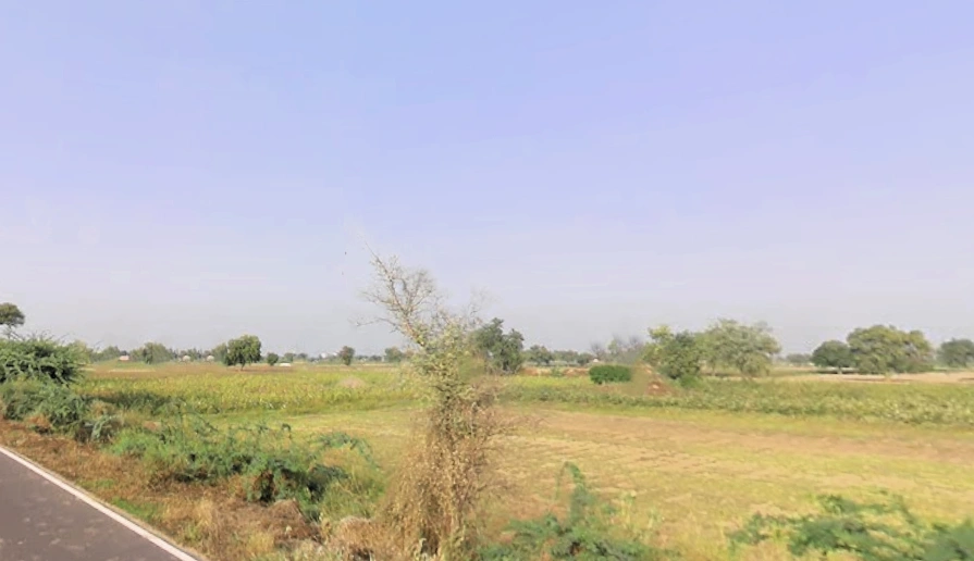 Bhattu Mandi, Haryana 125053, India