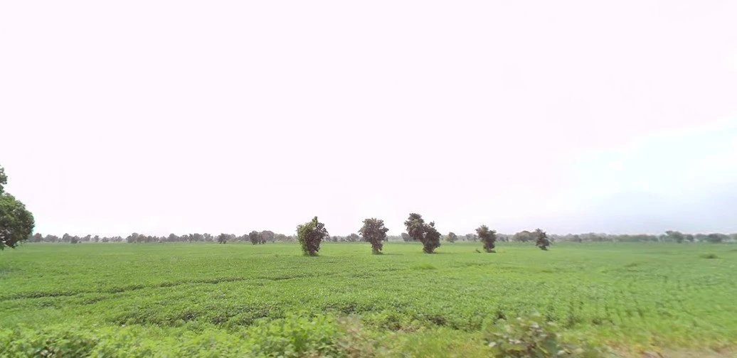 Nalwa, Madhya Pradesh, India